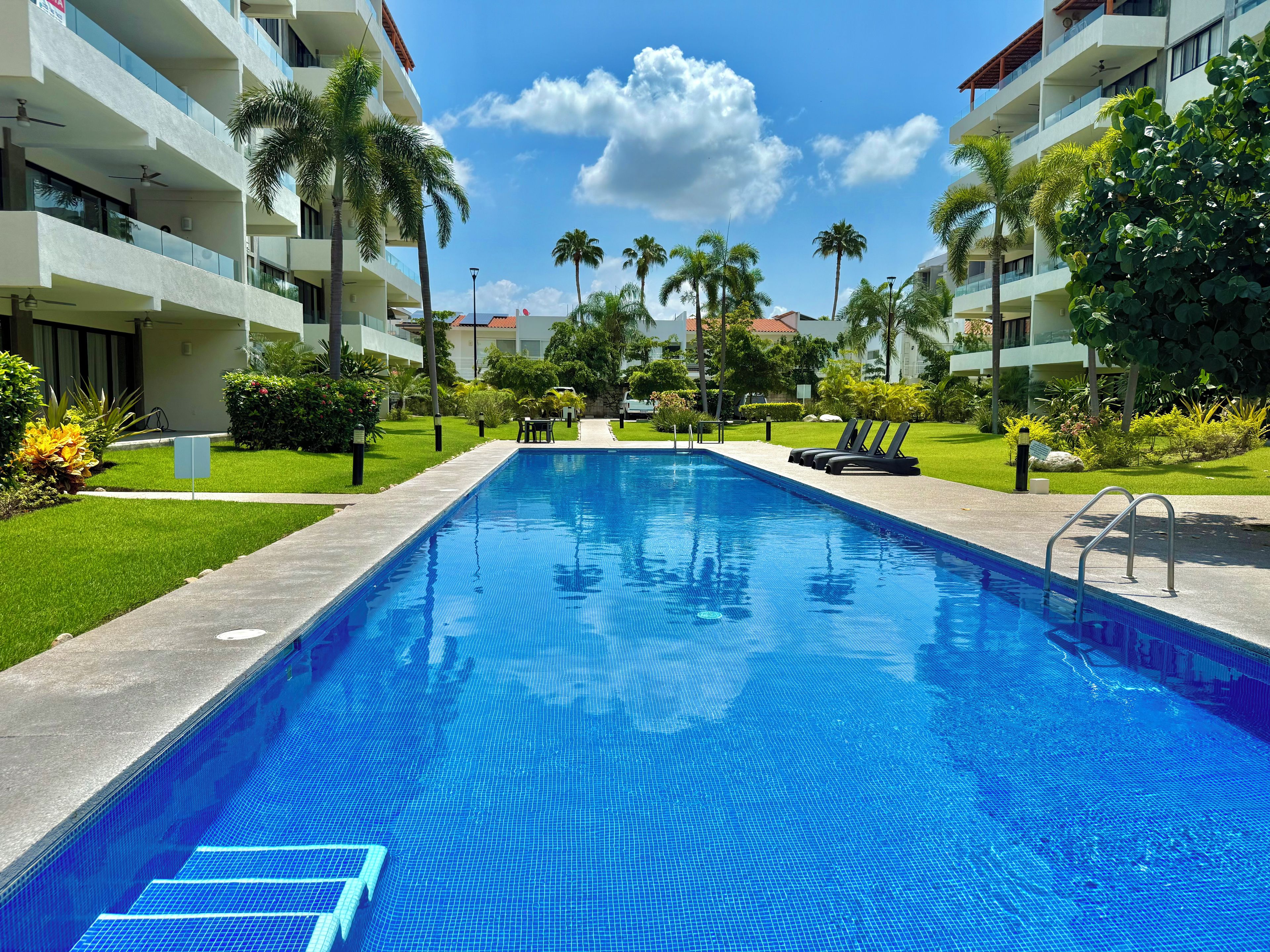 A swimming pool with a clear blue water surface, surrounded by a well-maintained lawn and palm trees.