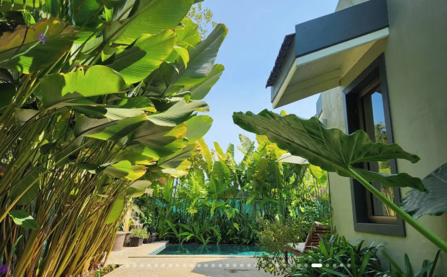 Piscina rodeada por vegetação tropical exuberante, um edifício moderno com janela e céu claro.