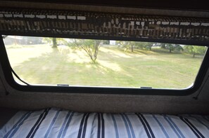 Una ventana con vista a un área verde y árboles.