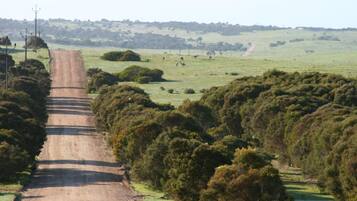 A rural road leading through a hilly landscape with dense vegetation on both sides.