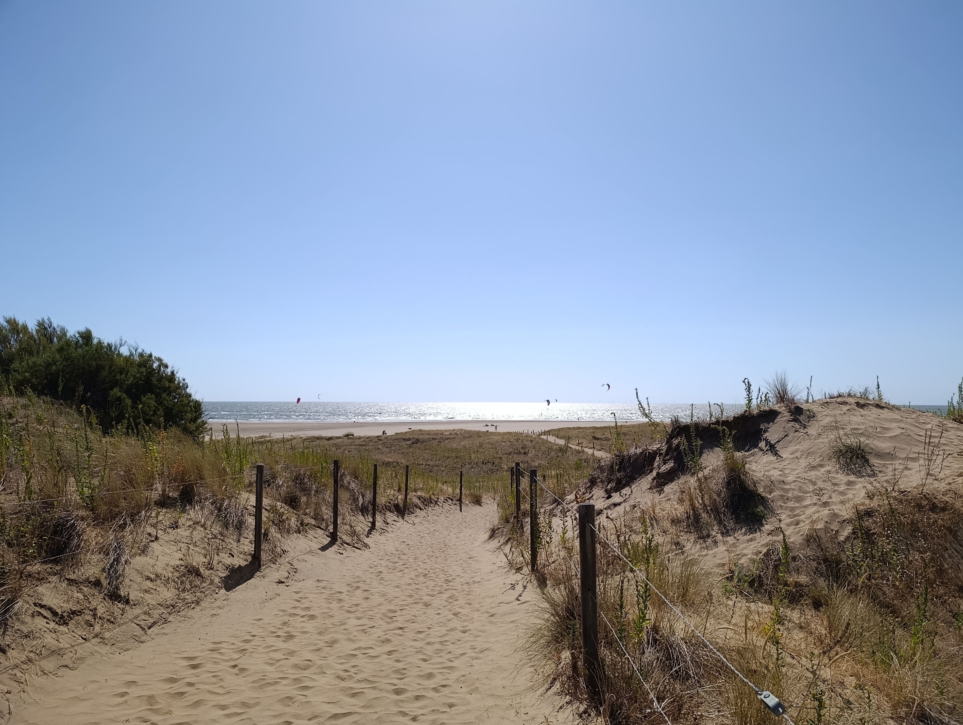 A sandy beach path leading to the sea with sparse vegetation and a clear sky.