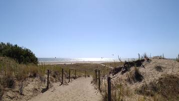 A sandy beach path leading to the sea with sparse vegetation and a clear sky.