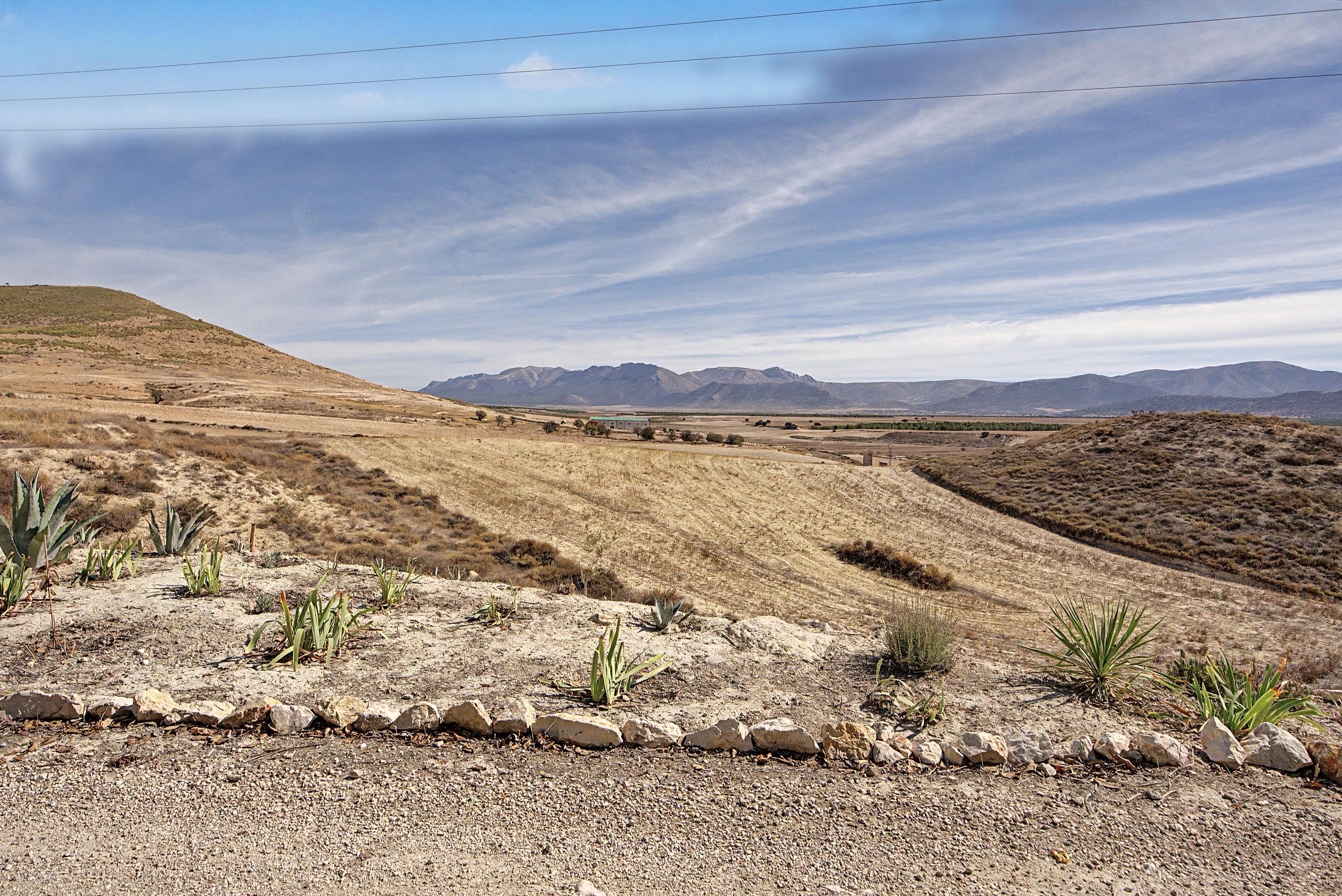 Un paisaje árido y rocoso con vegetación escasa y montañas lejanas bajo un cielo despejado.