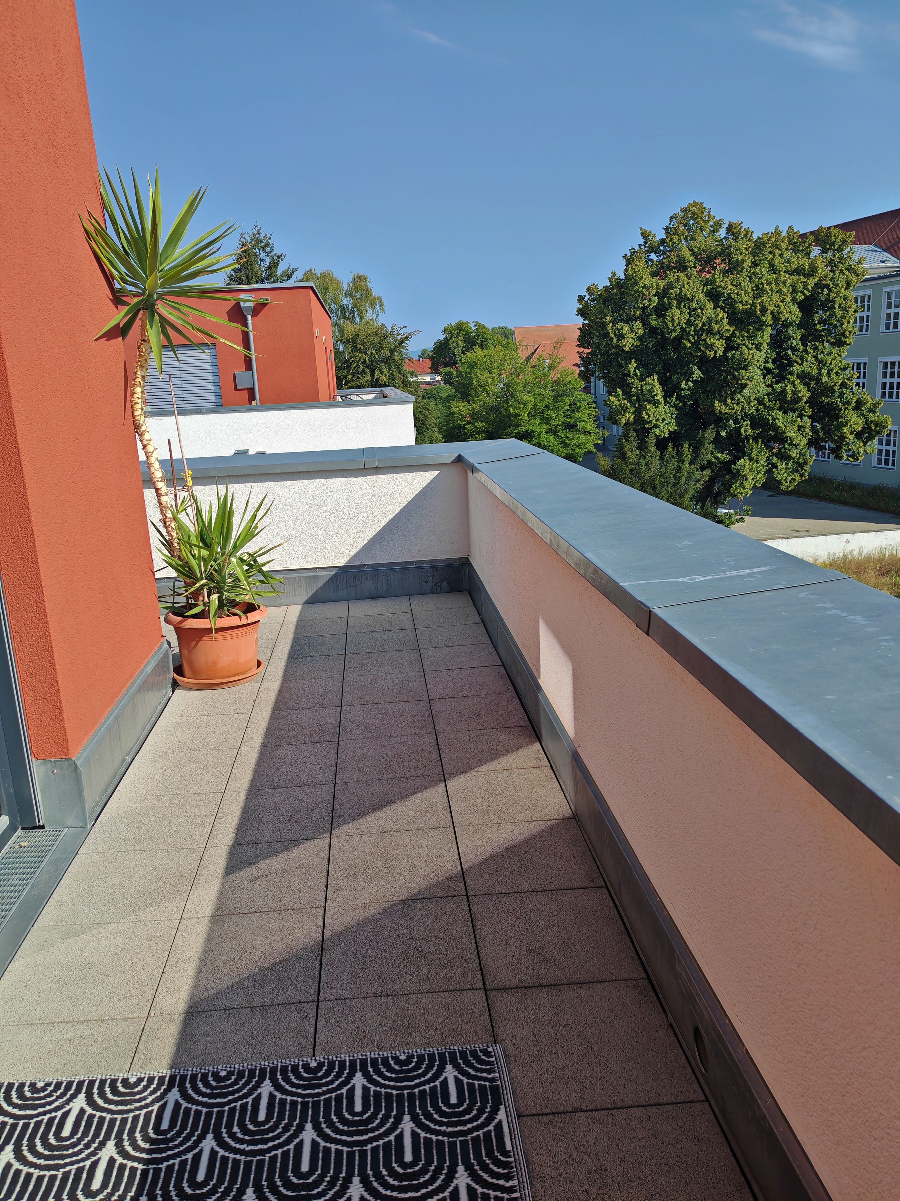 A rooftop terrace with a potted plant, a patterned mat, and a view of surrounding buildings.