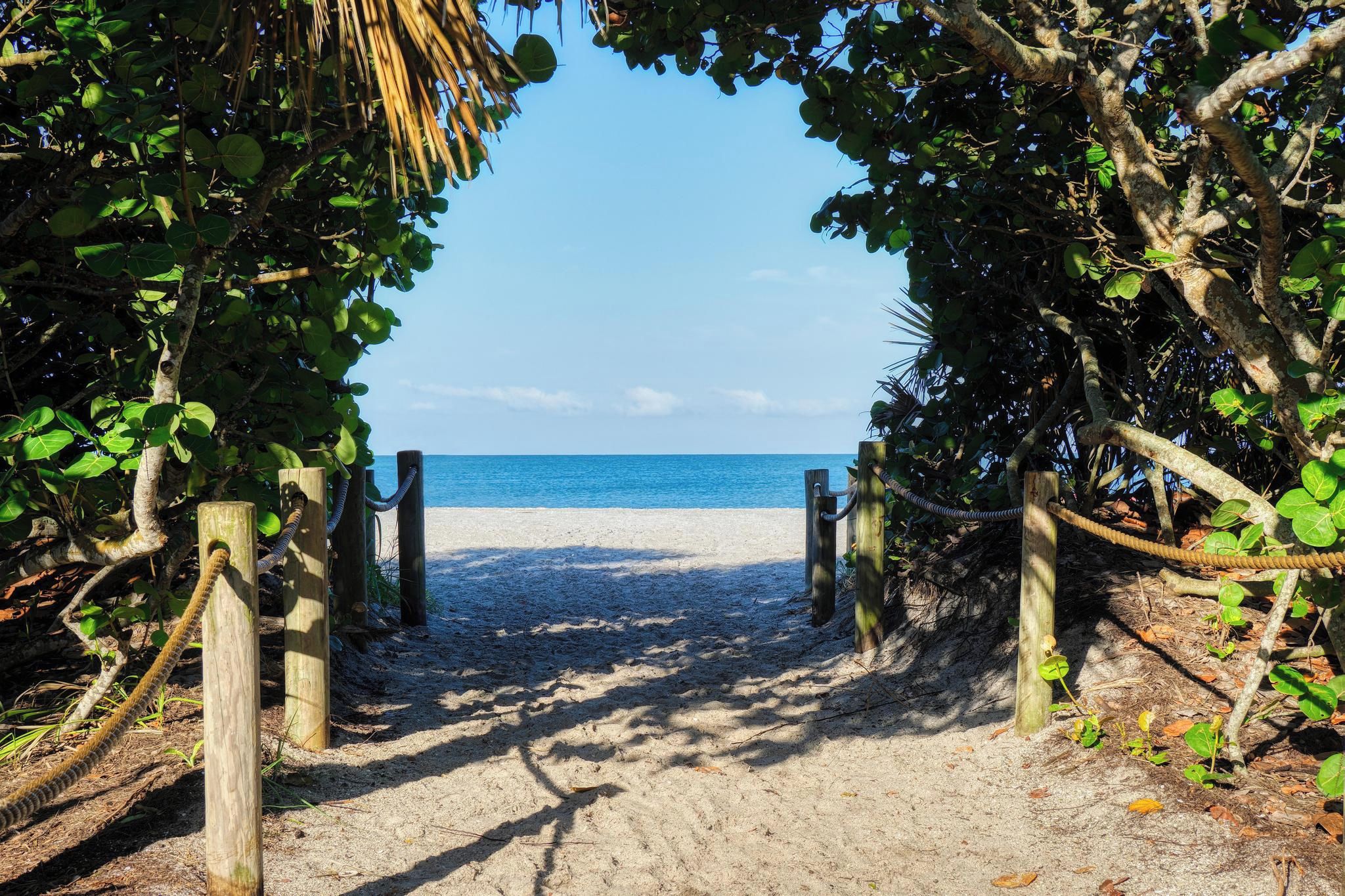 A sandy beach path leading to the ocean, surrounded by trees and wooden posts.