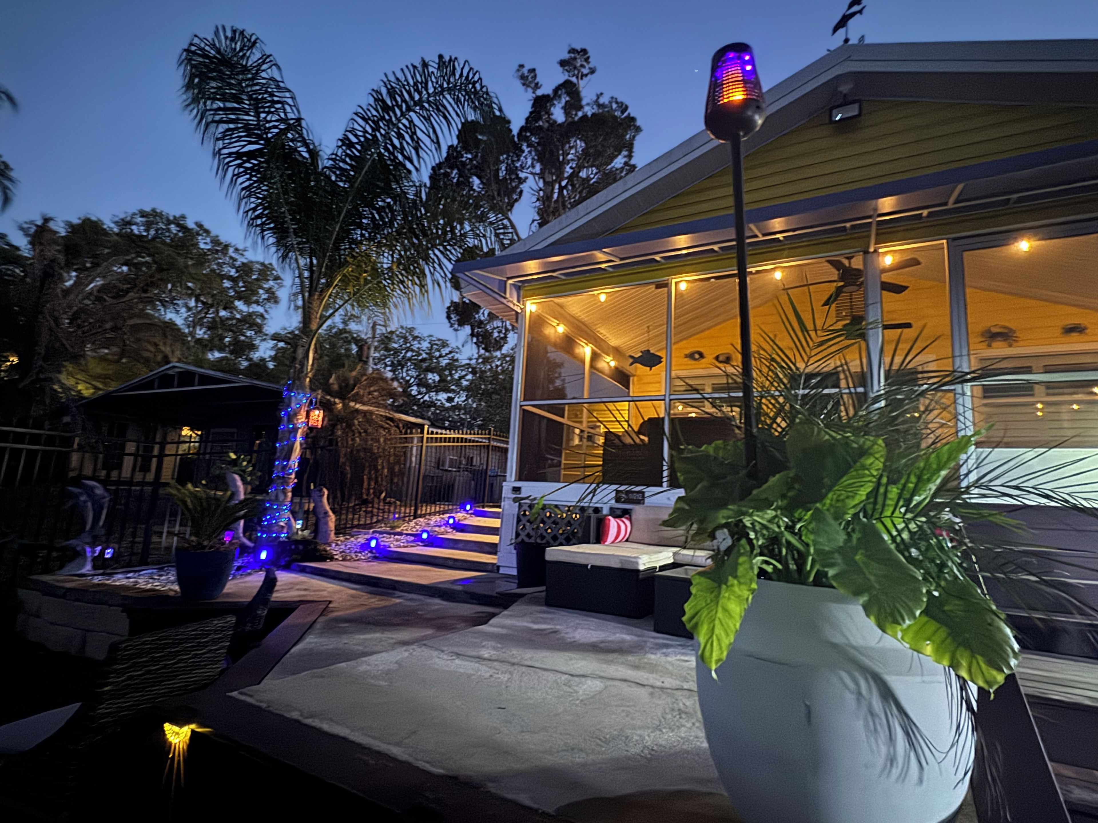 A modern house with a glass facade, a patio with outdoor seating, and a large potted plant in the foreground.