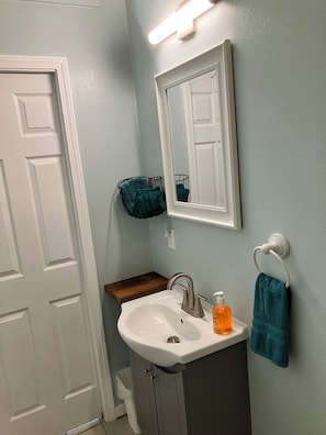 Bathroom - Downtown modern 2 bedroom apartment, no steps. We have boat parking w/electric. (Lansing)