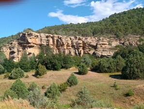 A natural landscape with a rocky cliff and dense greenery.