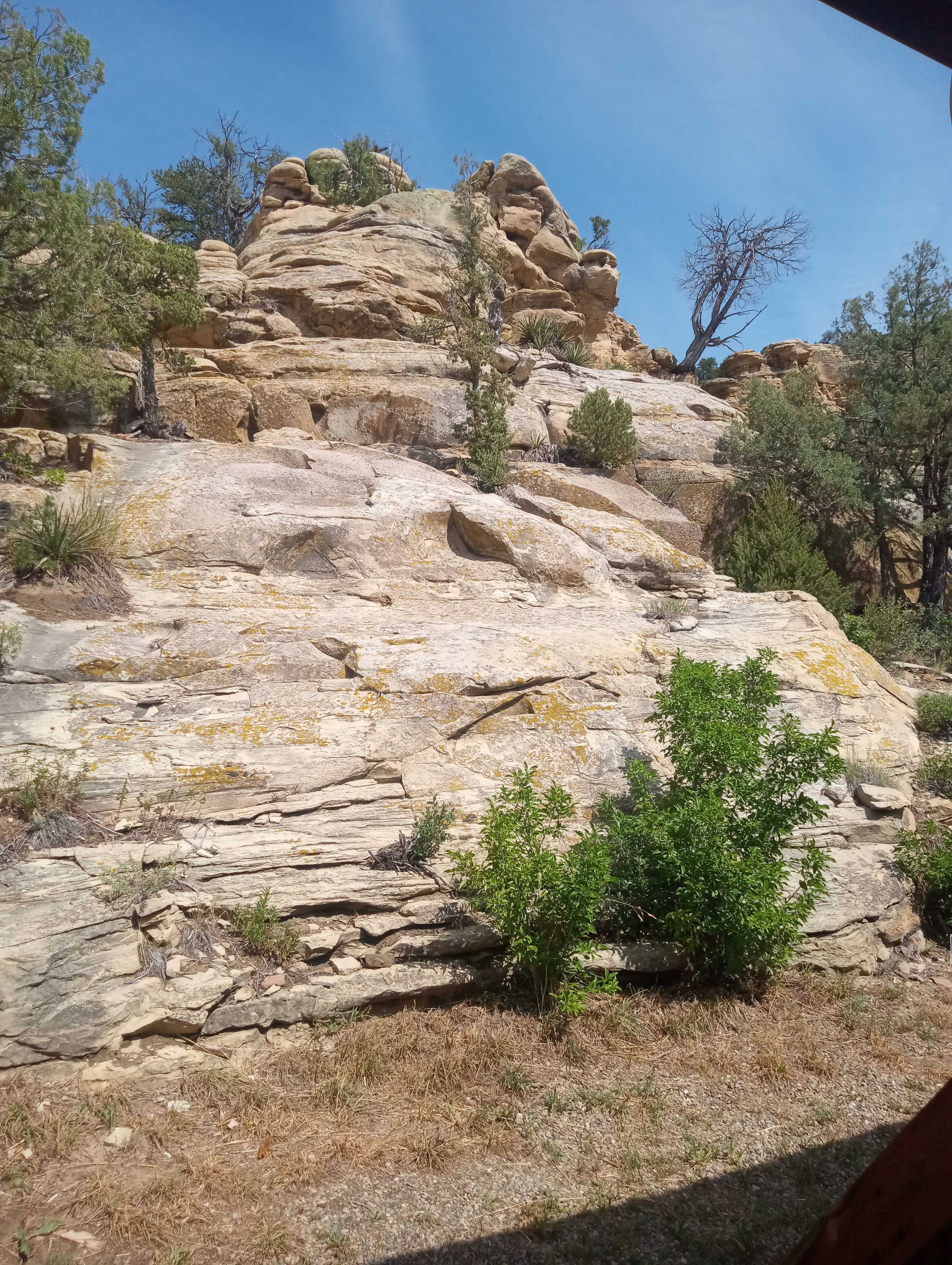 A rocky landscape with sparse vegetation and a clear sky.
