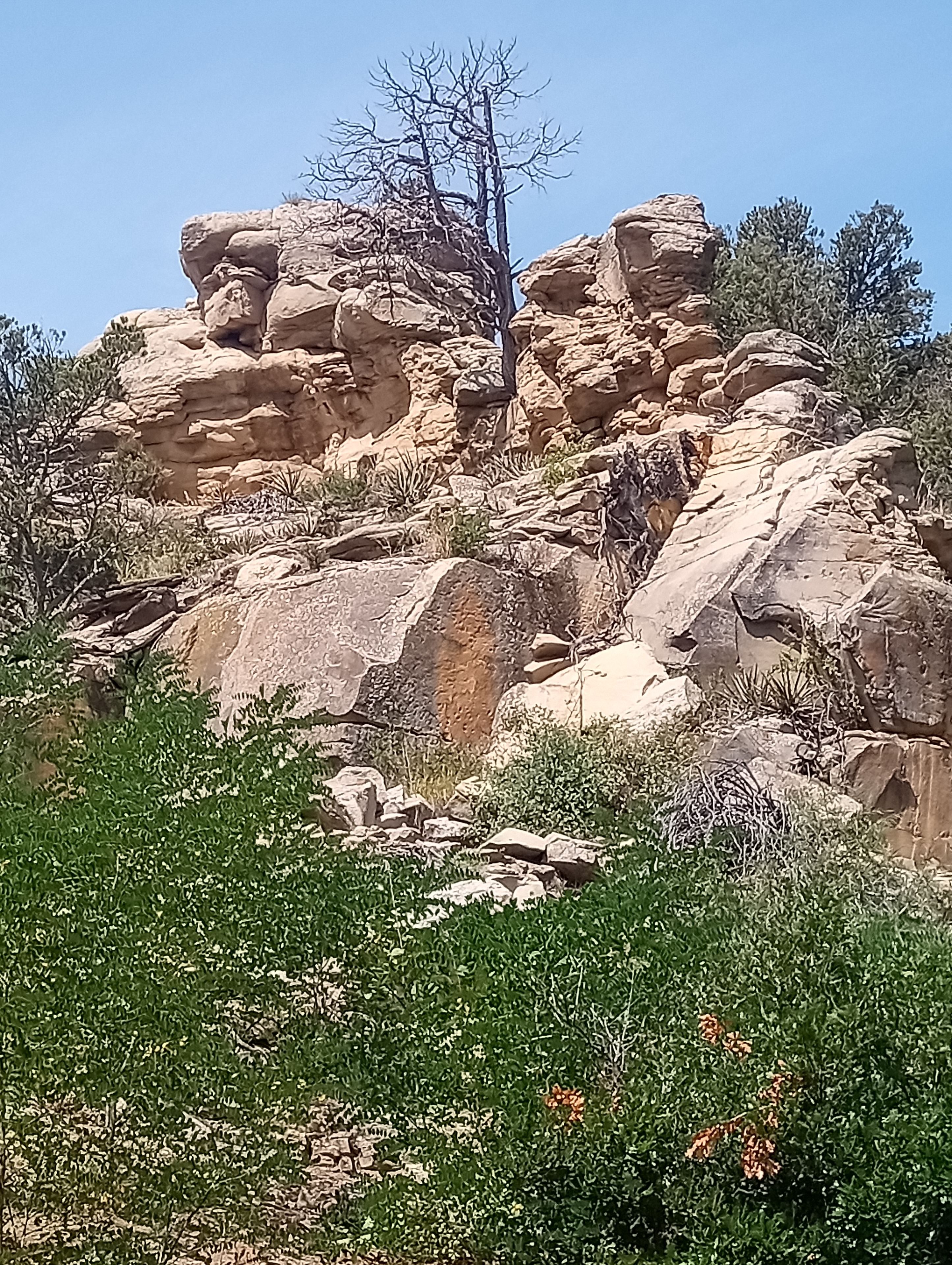 A rocky landscape with sparse vegetation and a clear sky.