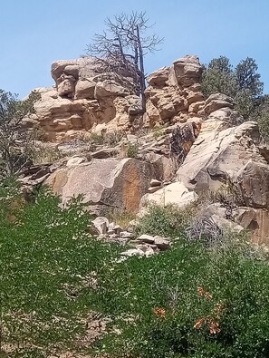 Un paisaje rocoso con vegetación escasa y un cielo despejado.