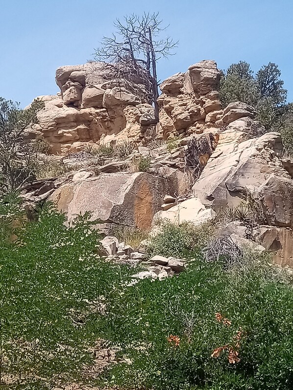 Un paisaje rocoso con vegetación escasa y un cielo despejado.