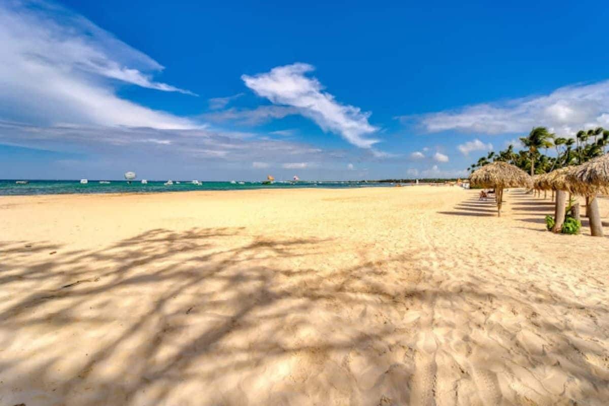 Une plage avec un ciel dégagé, des palmiers et une rangée de parasols en chaume.