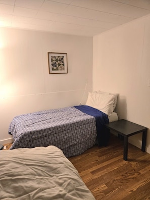 A bedroom with two beds, a bedside table, and a wall-mounted picture. - Wabana Sage House Grand Rapids, MN by the forest (Grand Rapids)