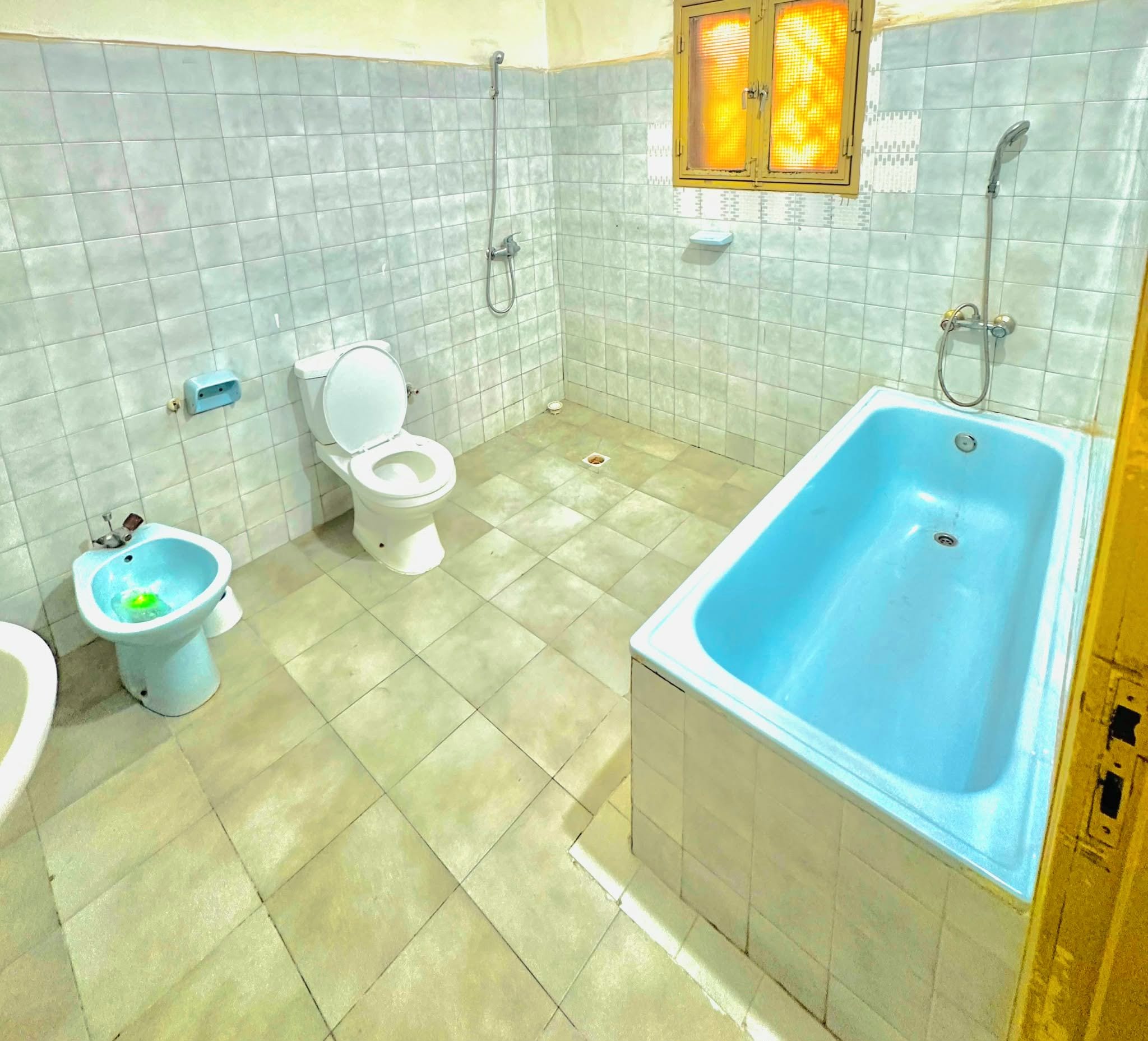 Un baño con bañera, inodoro y bidé.