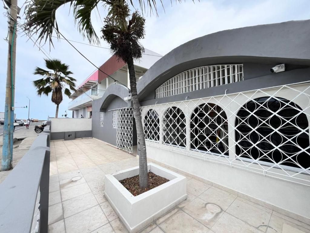 A building with a curved facade, a palm tree in a planter, and a gated window design.