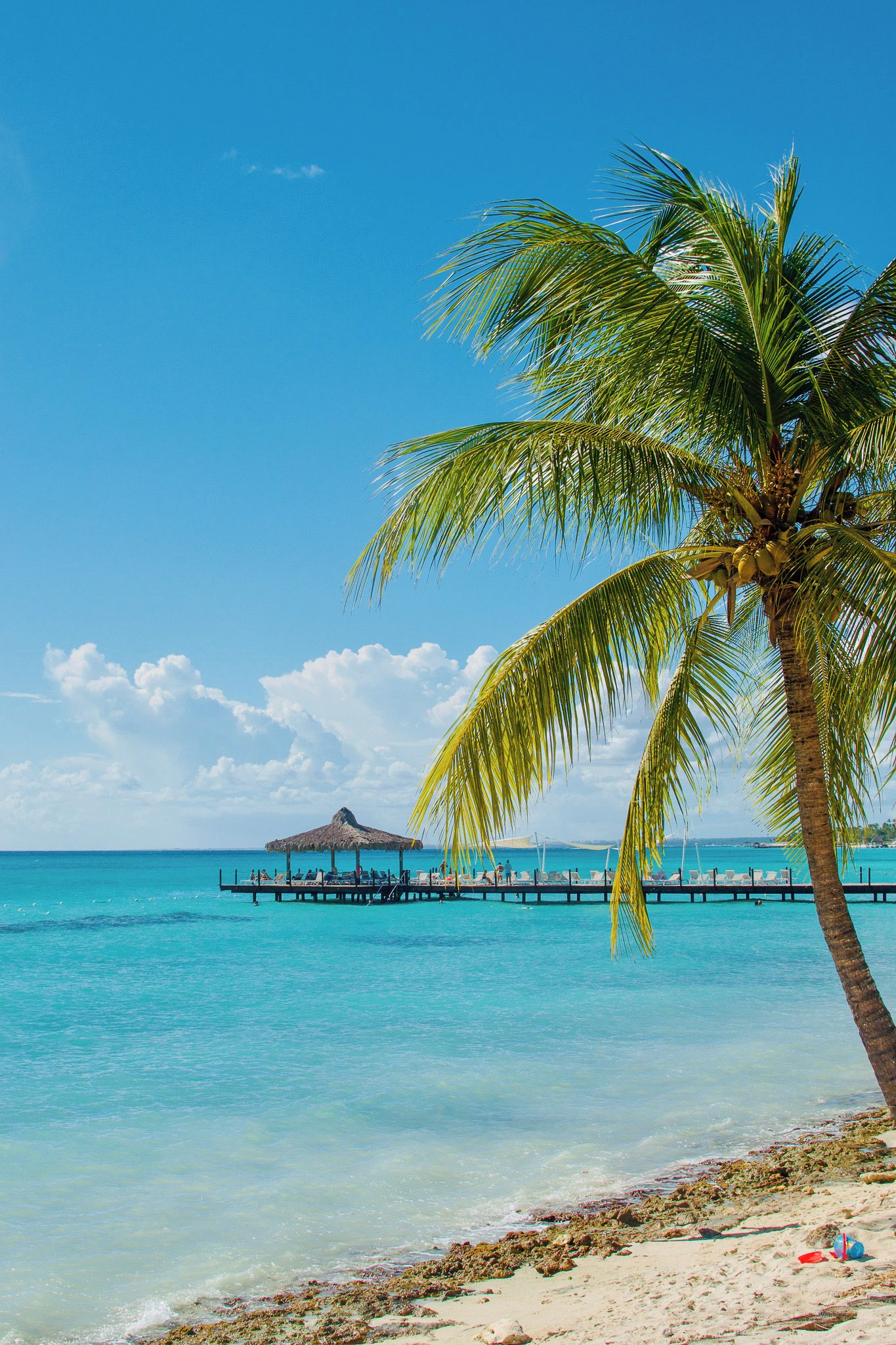 A beach with clear turquoise water, a palm tree, and a pier with lounge chairs.