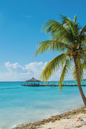 A beach with clear turquoise water, a palm tree, and a pier with lounge chairs. - Flamenco Studio in Cadaques Caribe (San Rafael del Yuma)