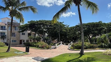 A residential area with palm trees, a paved walkway, and a building with a stone facade.