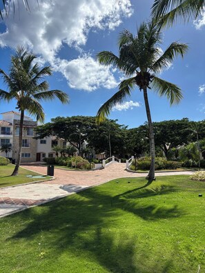 Zona residencial con palmeras, un sendero pavimentado y un edificio de fachada de piedra.