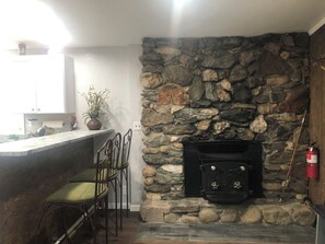 A stone fireplace with a black wood-burning stove, a stone wall, a bar area with a countertop and chairs, and a potted plant. - 3 bedroom home on Main St Buena Vista, walking distance to EVERYTHING! (Buena Vista)
