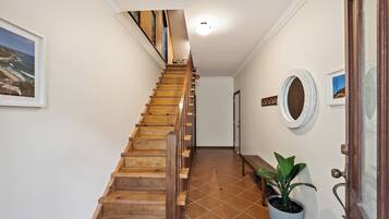 Un escalier en bois mène à un palier où se trouvent une plante en pot et un miroir accroché au mur.