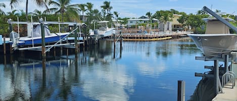 A marina with boats docked, palm trees, and a clear sky.