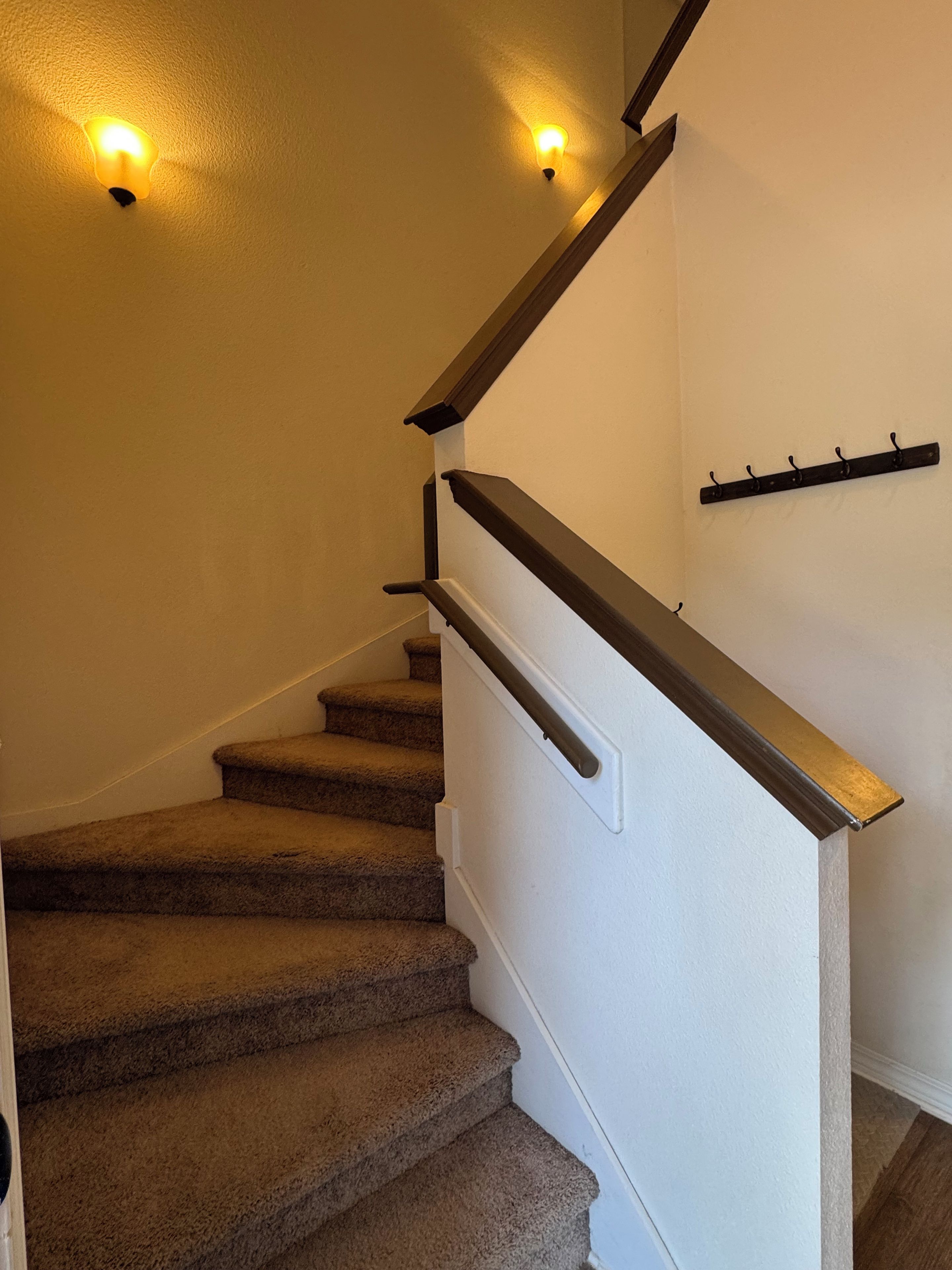 A carpeted staircase with a handrail and wall-mounted light fixtures.