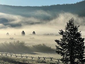 A foggy landscape with a barbed wire fence, trees, and a clear sky.