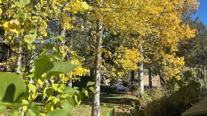 Unclassified image, 5 of 9, button - Perfect 4-bedroom house in Olympic Valley for your getaway (Olympic Valley)