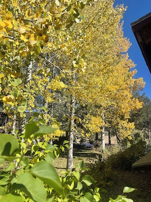 Exterior detail - Perfect 4-bedroom house in Olympic Valley for your getaway (Olympic Valley)