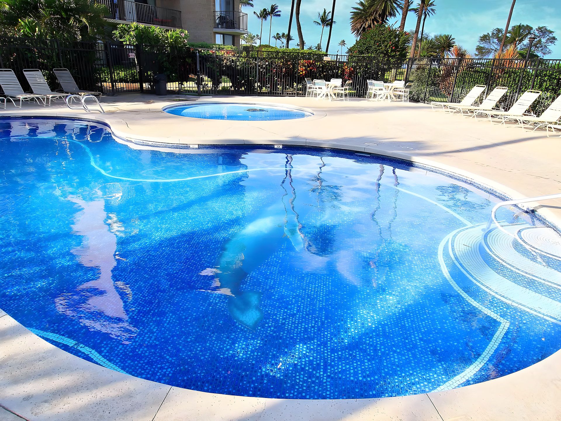 A large, clear blue pool with a tiled edge, surrounded by lounge chairs and palm trees.