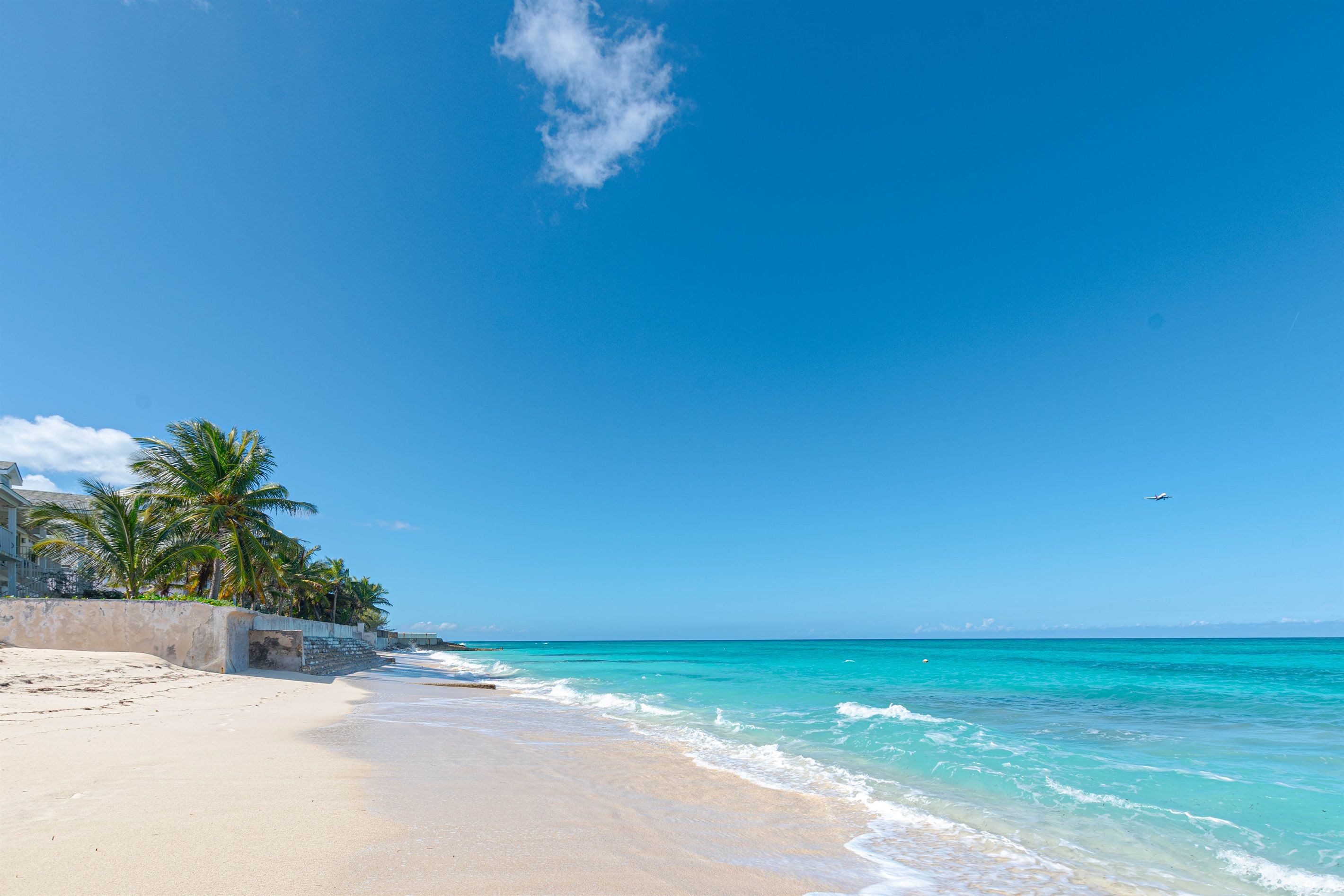 Une plage aux eaux turquoise et limpides, bordée d’un rivage sablonneux et ponctuée de quelques palmiers.