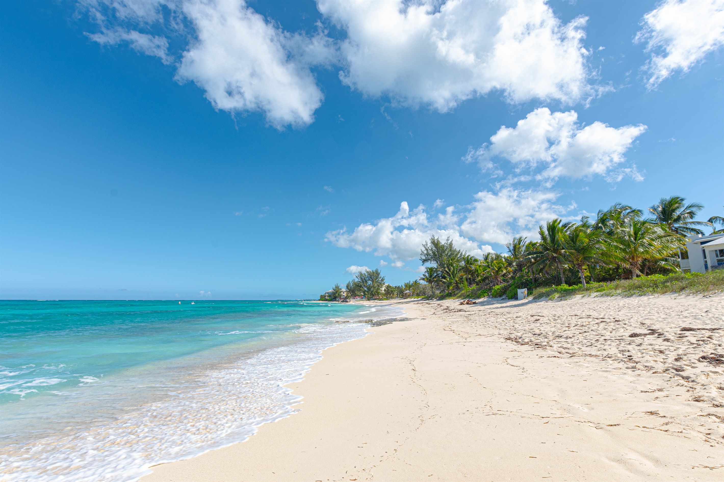A beach with clear turquoise water, a sandy shore, and a row of palm trees.