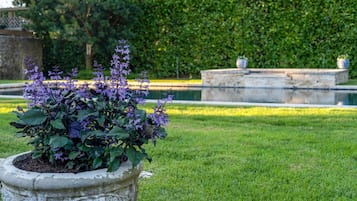 A garden with a stone planter containing purple flowers, a well-manicured lawn, and a hedge in the background.