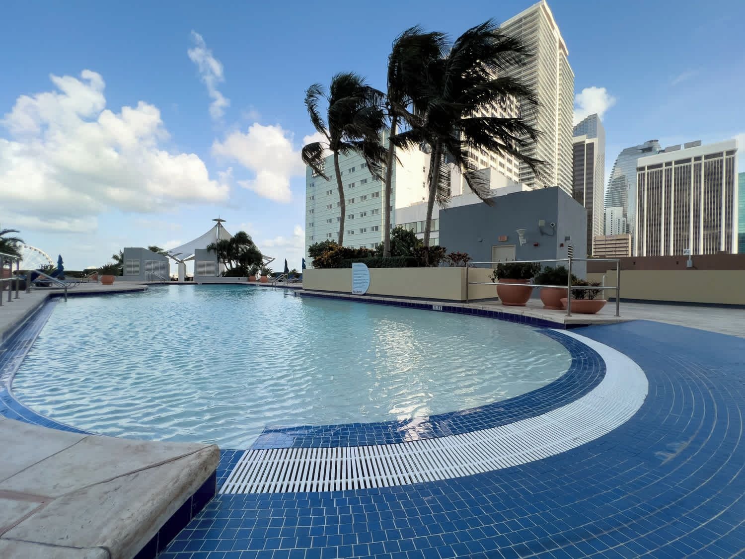 A swimming pool with a tiled edge, palm trees, and modern buildings in the background.