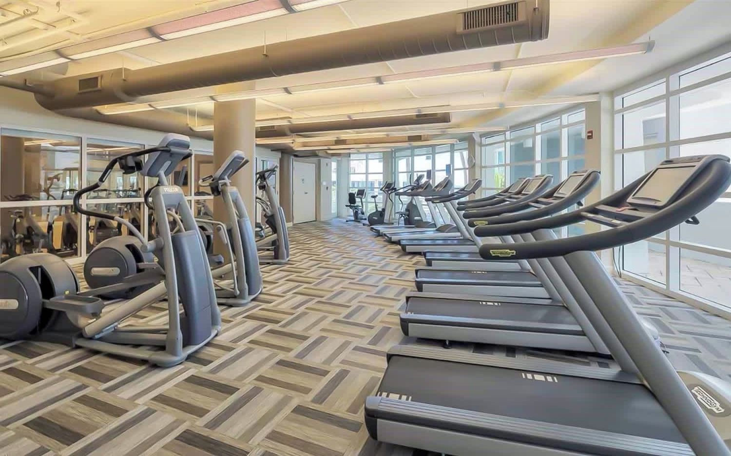 A gym with treadmills and elliptical machines arranged in rows, large windows, and a patterned floor.
