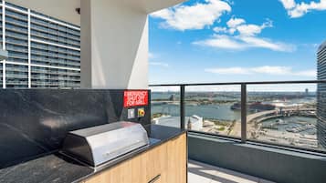 Eine moderne Küche mit Grill, Blick auf einen Fluss und einem Hochhaus im Hintergrund.