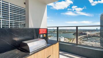 Een moderne keuken met een grill, een rivierzicht en een hoog gebouw op de achtergrond.
