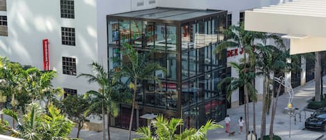 Un edificio moderno con fachada de vidrio, palmeras y un paseo peatonal.