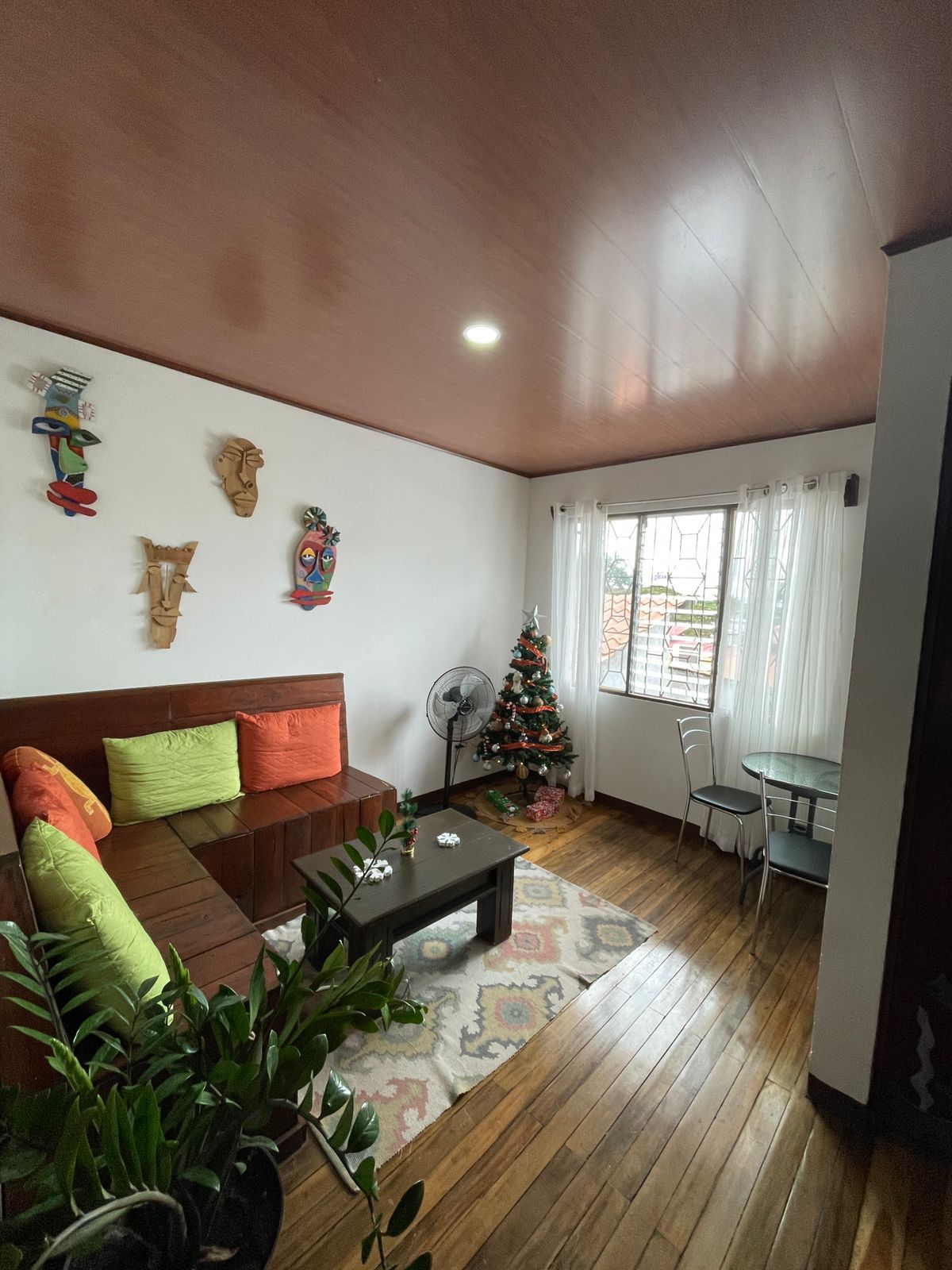 A cozy living room with a wooden floor, a brown sofa with colorful cushions, a small table, a fan, and a Christmas tree.