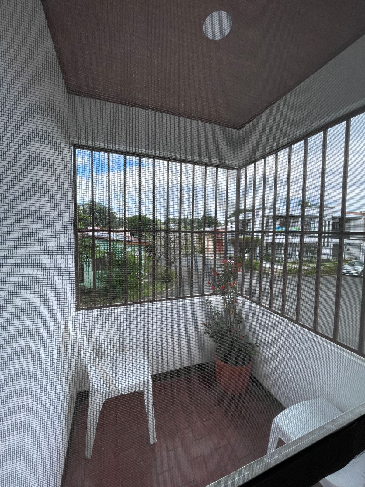 A room with a large window, a white chair, and a potted plant.