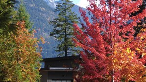 A modern building with a garage door, surrounded by trees with autumn foliage, and a mountain in the background.