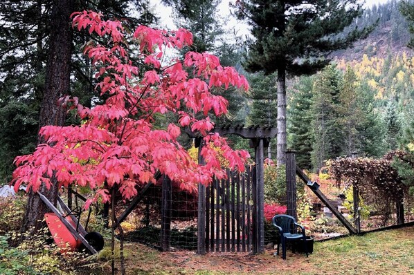 Un jardin clos, agrémenté d’un arbre aux feuilles rouges, d’une structure en bois et d’une chaise.