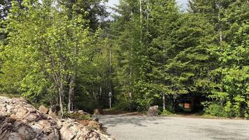 A paved driveway leading into a forested area with a rocky outcrop on the left.