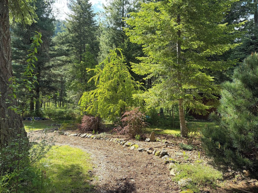 A forested area with a gravel path and a stone wall.