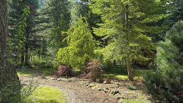 A forested area with a gravel path and a stone wall.