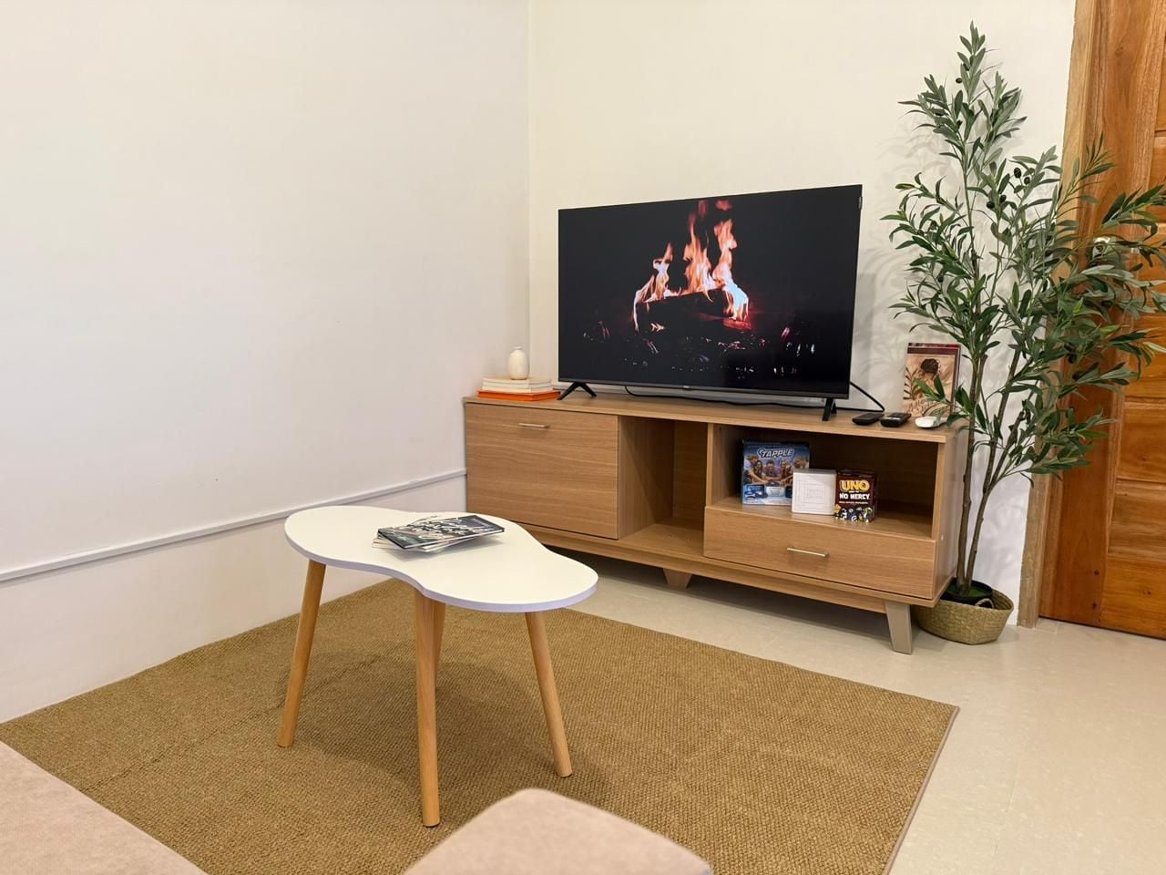 Una sala de estar con una televisión, una mesita, un sofá, una planta y un mueble de madera con libros y juegos.