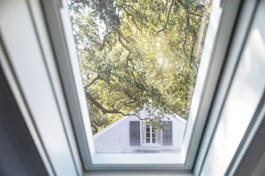 Ventana de tragaluz con vista a una casa a través de un dosel de árboles.