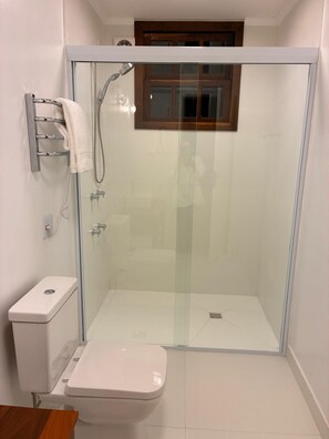 A glass-enclosed shower stall with a toilet and a towel rack.
